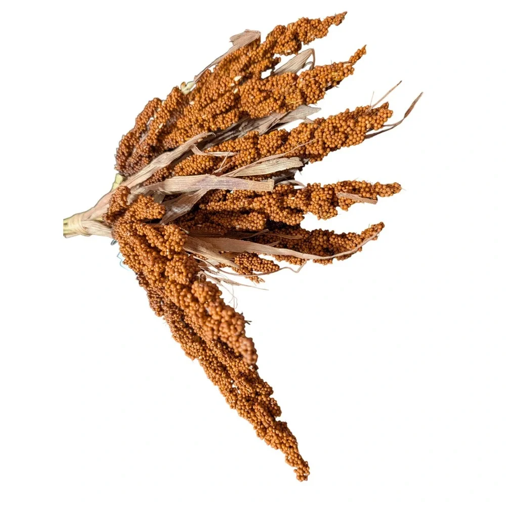 N/A natural dried